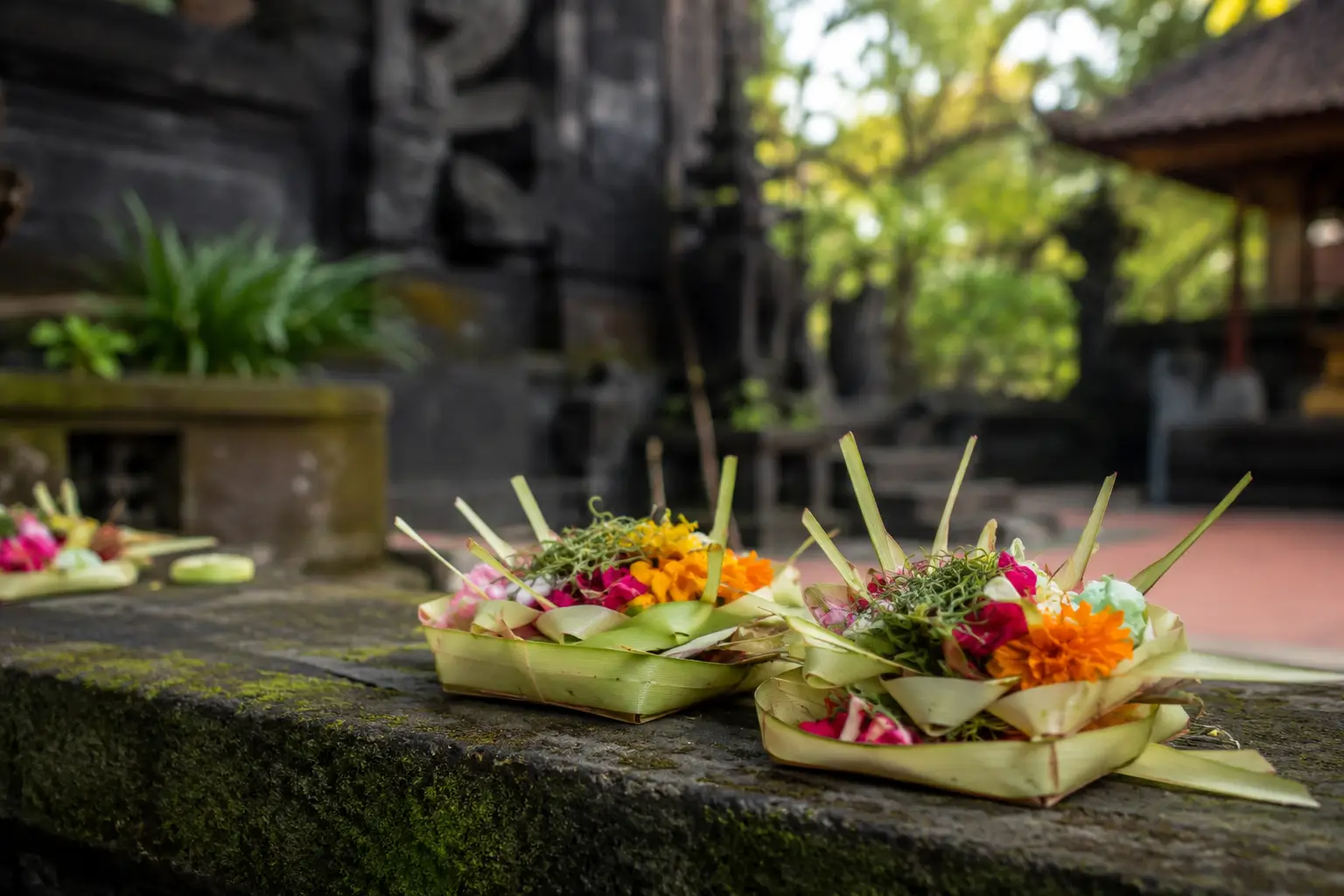 Traditional Balinese Canang Sari Offerings in Daily Life Traditional Canang Sari offerings placed in a peaceful temple courtyard in Bali